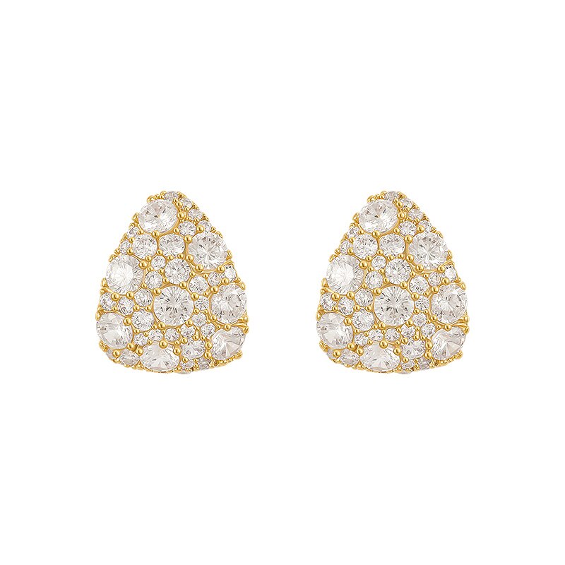 Dazzling Drop Earrings