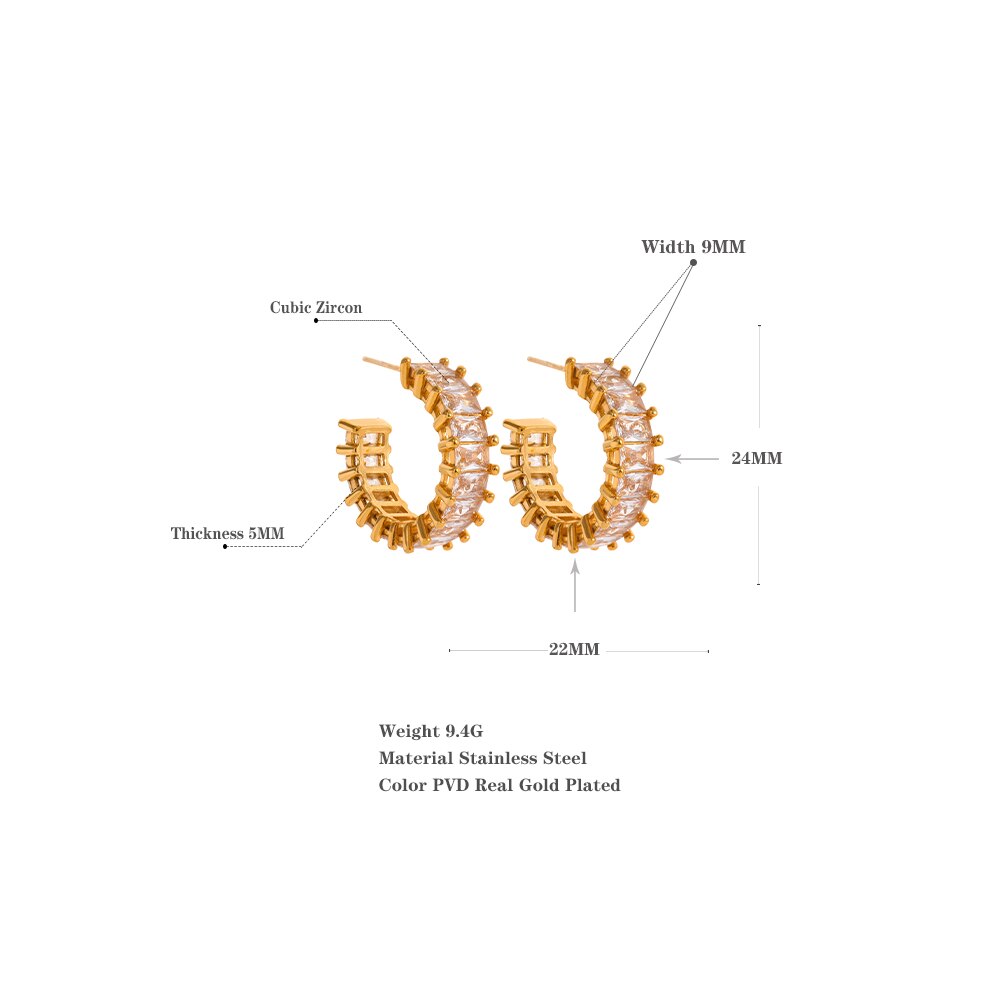 Crystal Hoops Earrings